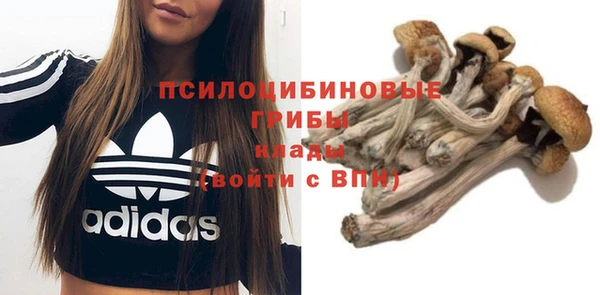 бошки Алзамай