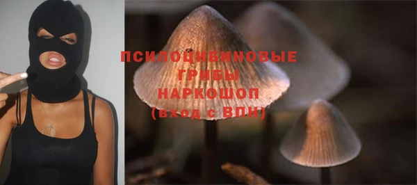 мяу мяу мука Аркадак