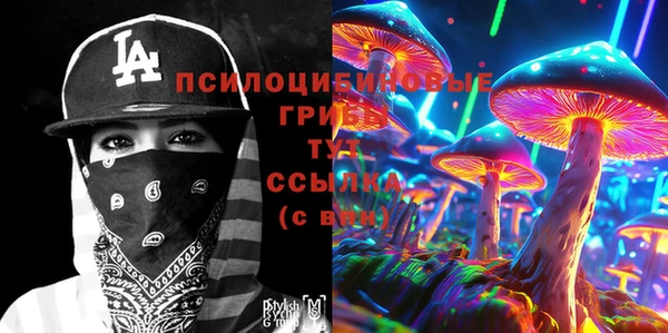 бошки Алзамай