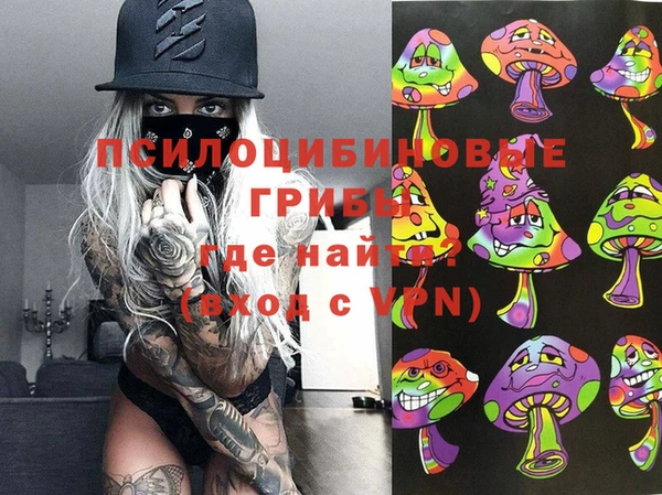 бошки Алзамай