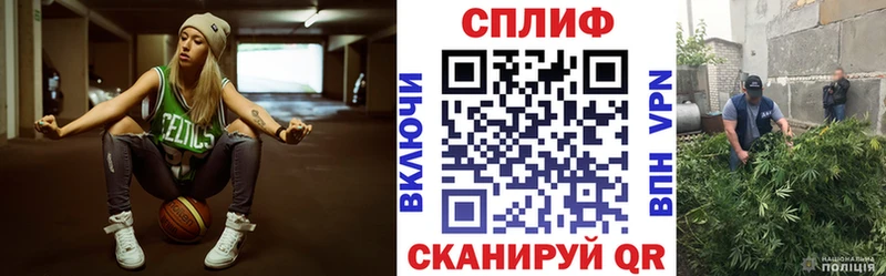 Каннабис гибрид  Татарск 